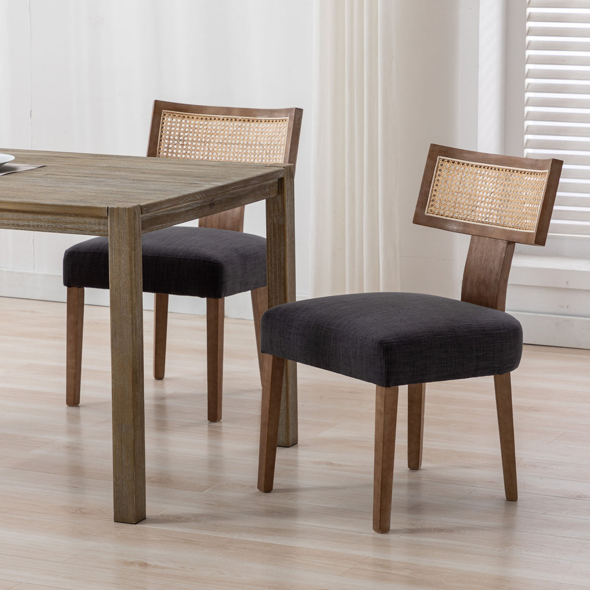 Payson Modern Cane Dining Chairs (Set of 2)
