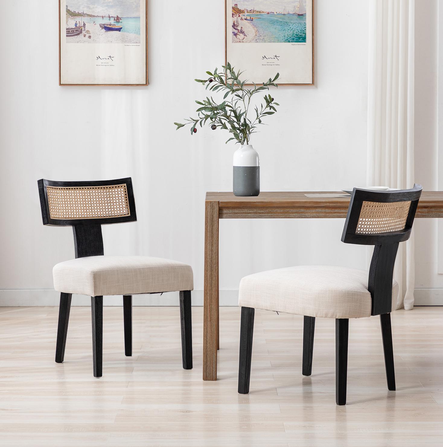 Payson Modern Cane Dining Chairs (Set of 2)