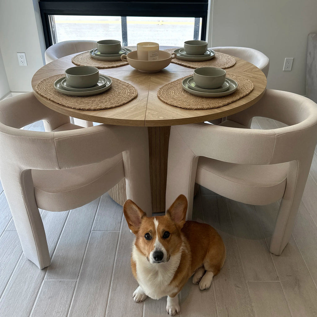 Dove Modern Upholstered Dining Chair