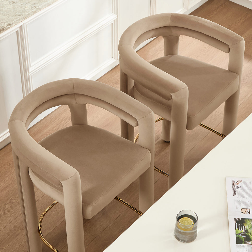 Dani Counter Stools (Set of 2)