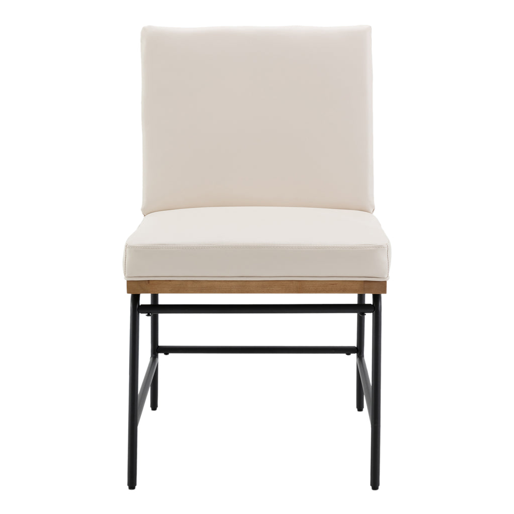 Ramsey Modern Industrial Dining Chairs (Set of 2)