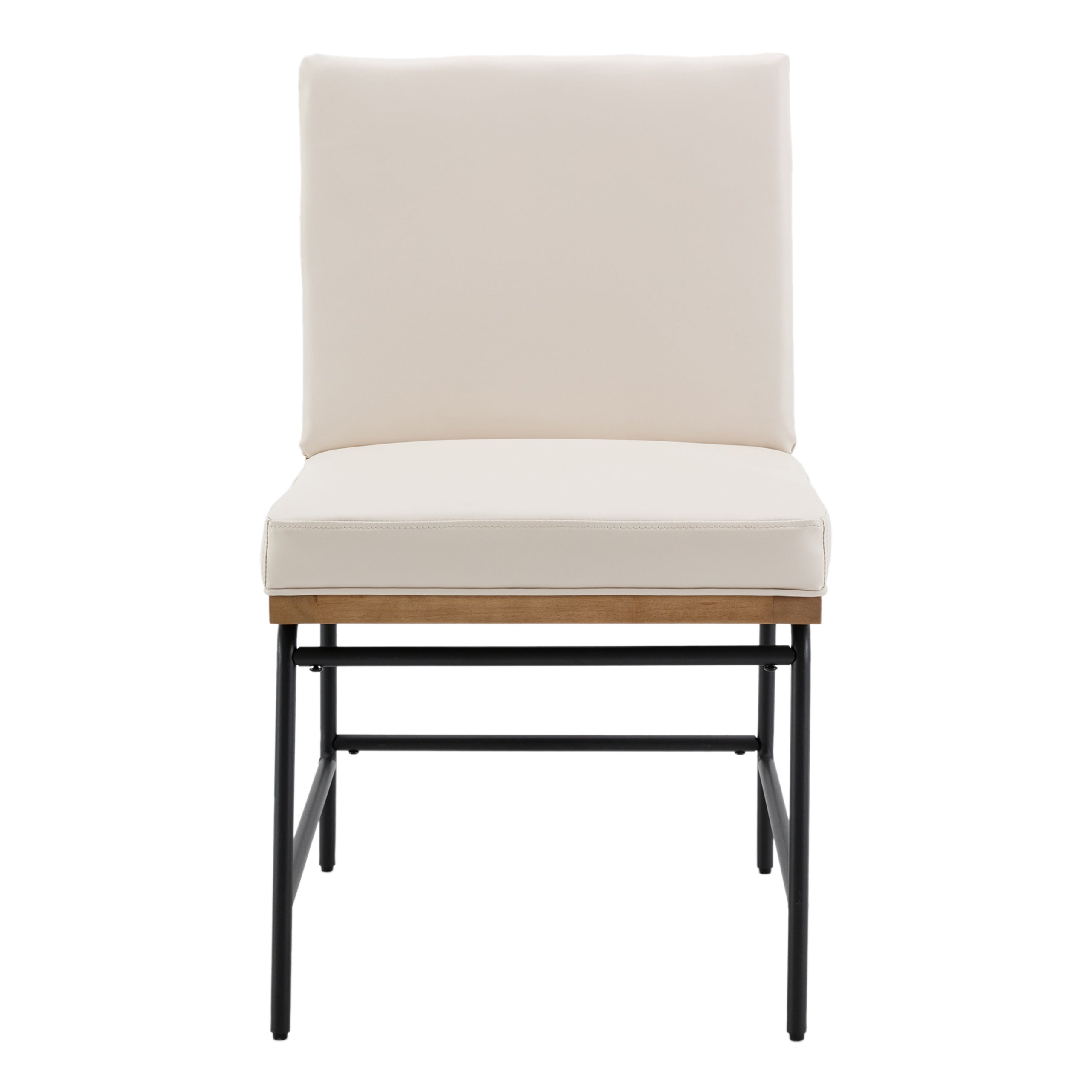 Ramsey Modern Industrial Dining Chairs (Set of 2)