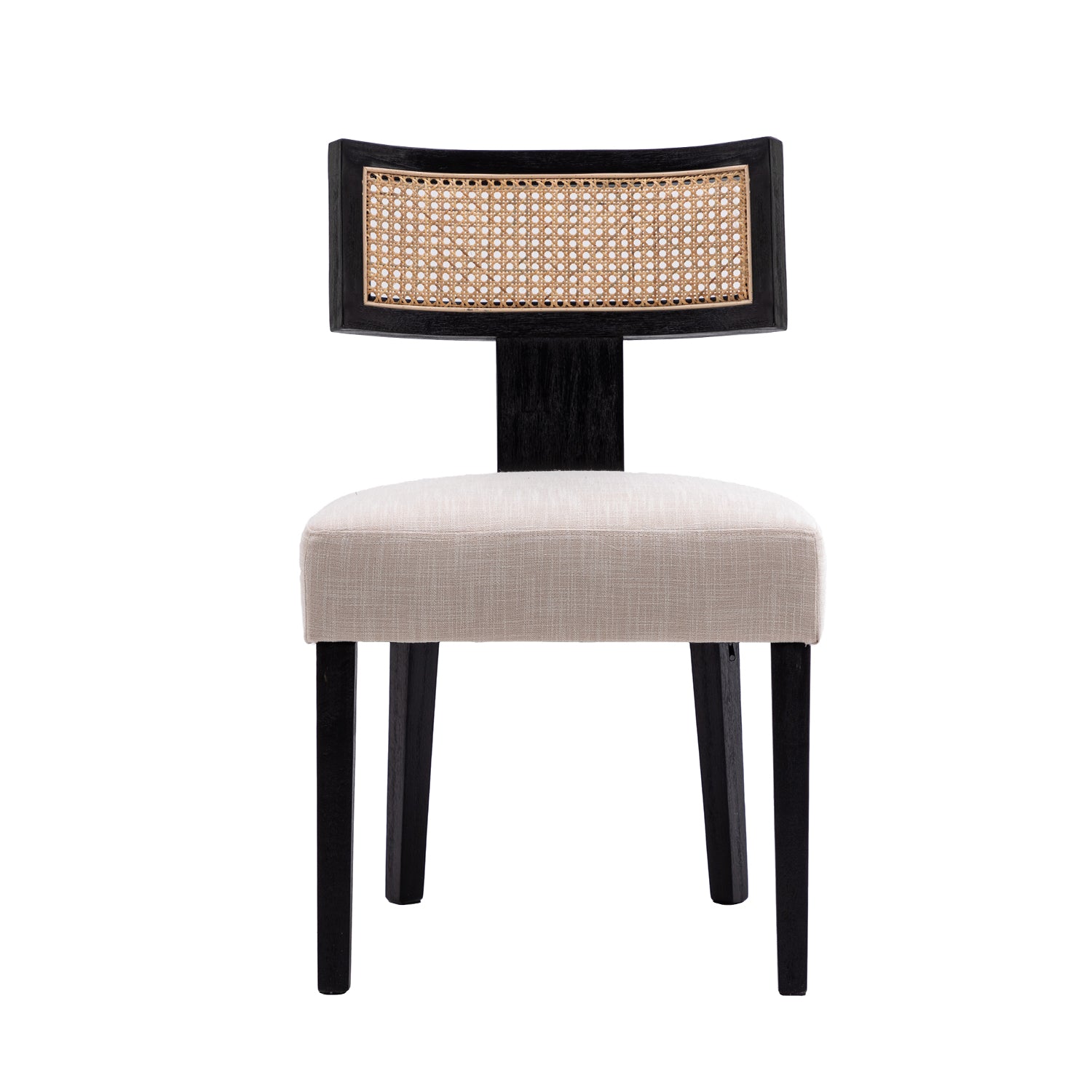Payson Modern Cane Dining Chairs (Set of 2)