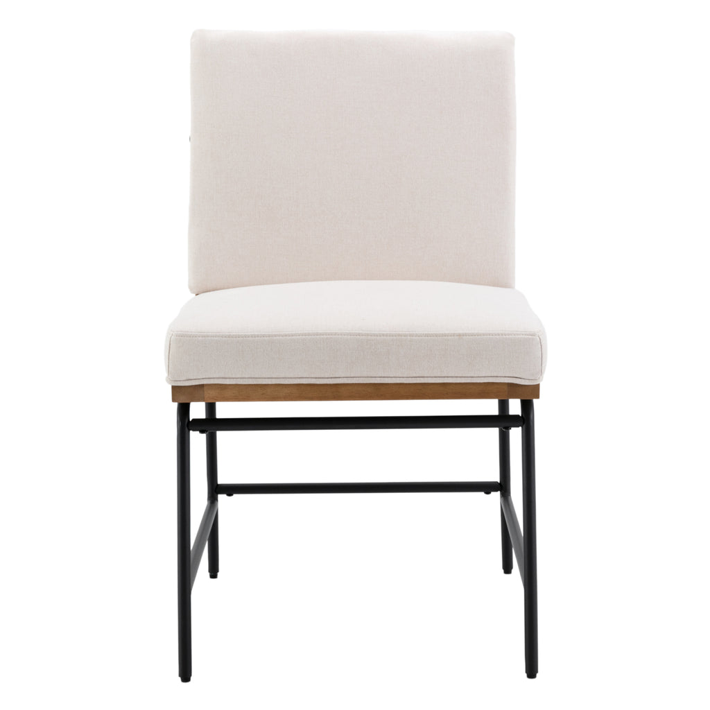 Ramsey Modern Industrial Dining Chairs (Set of 2)