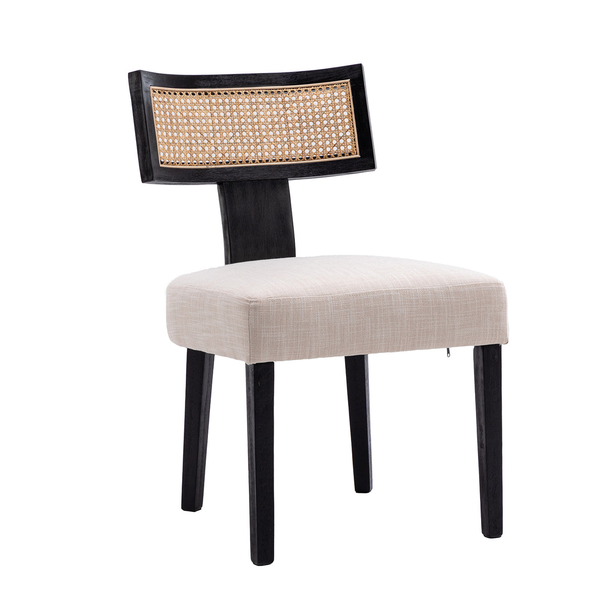 Payson Modern Cane Dining Chairs (Set of 2)