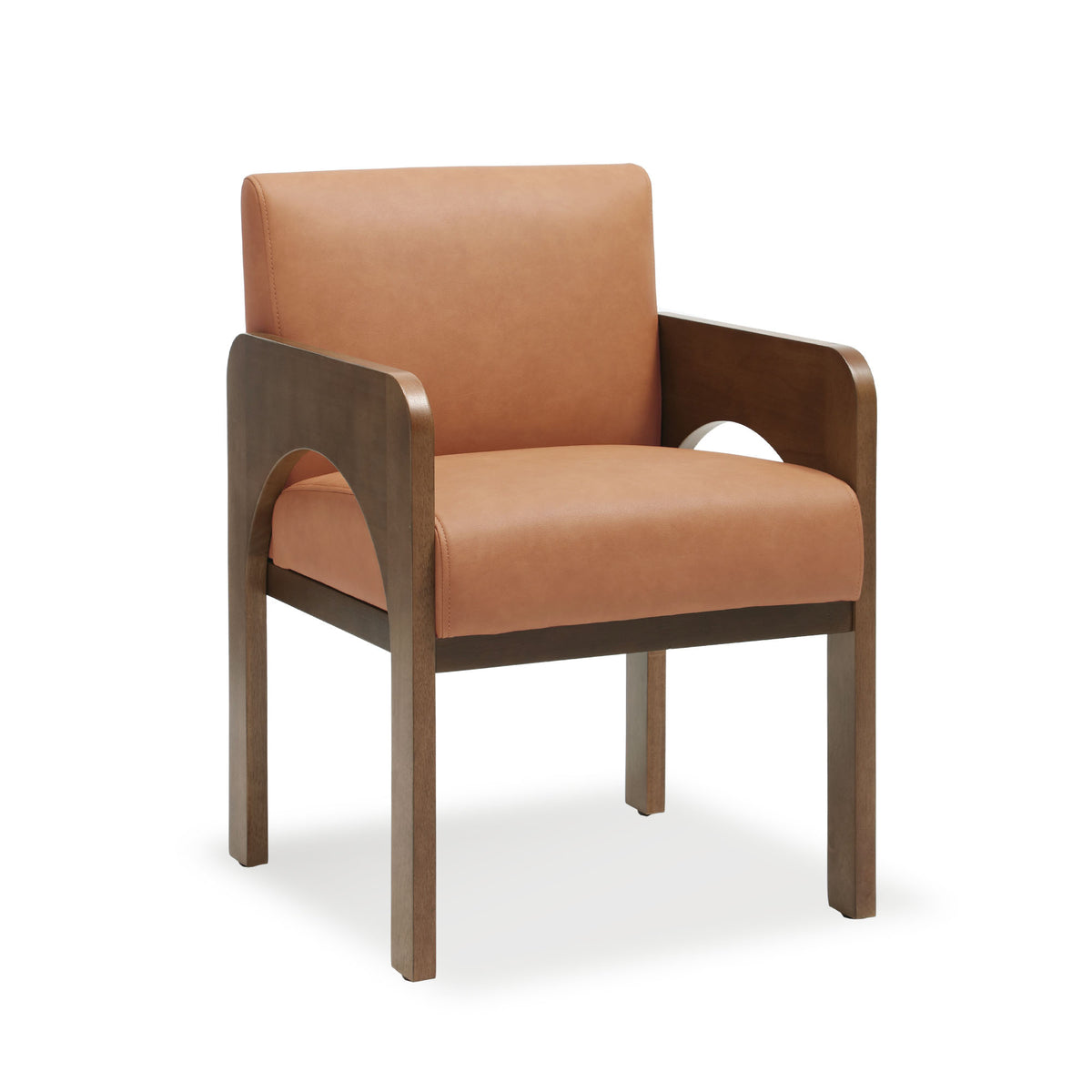 Hugo Modern Transitional Dining Chairs (Set of 2)