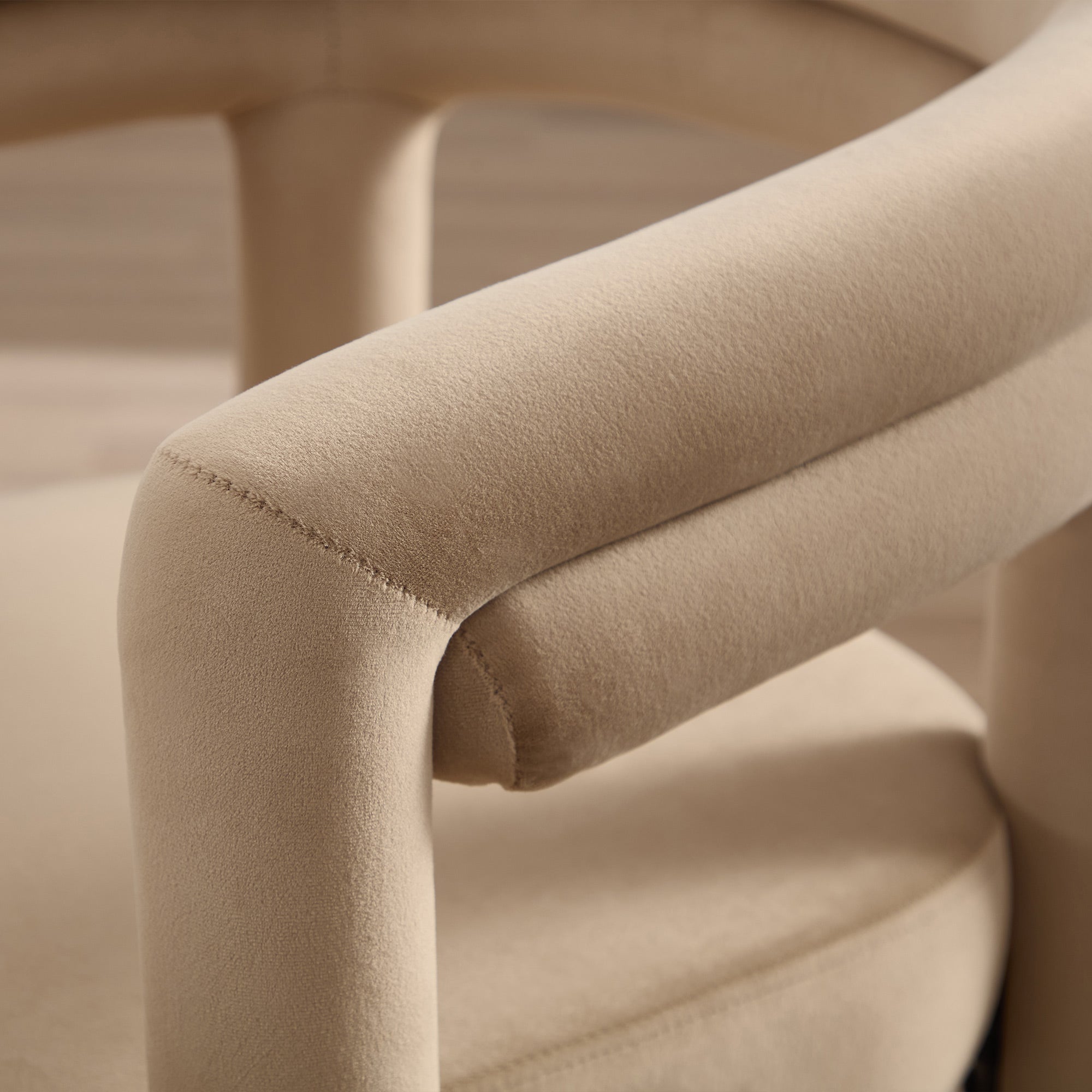 Lara Dining Chair Upholstered Armchair with Back