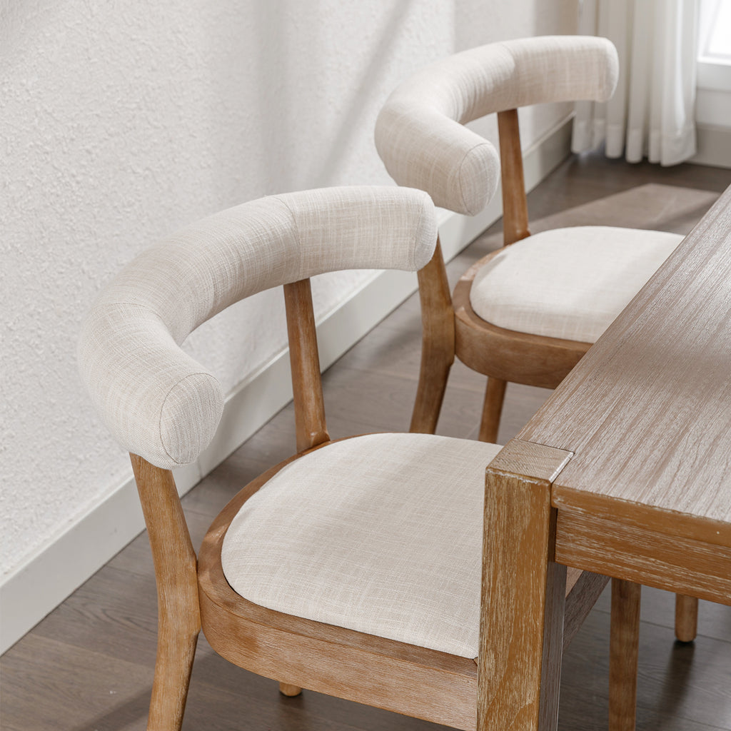 Taylor Modern Rustic Dining Chairs (Set of 2)