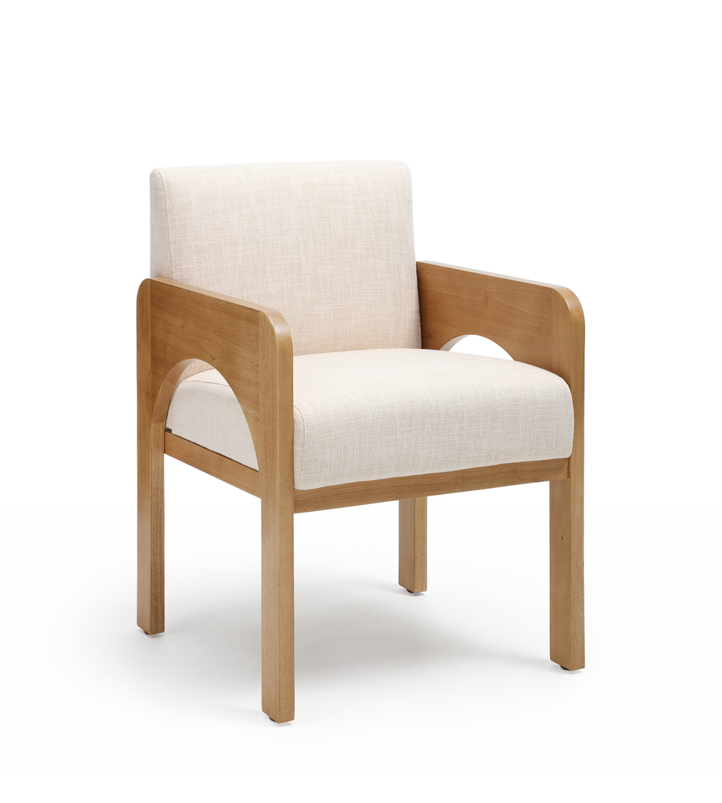 Hugo Modern Transitional Dining Chairs (Set of 2)