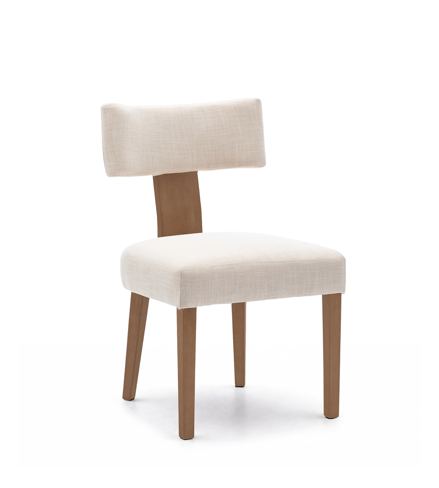 Payson Modern Upholstered Dining Chairs (Set of 2)