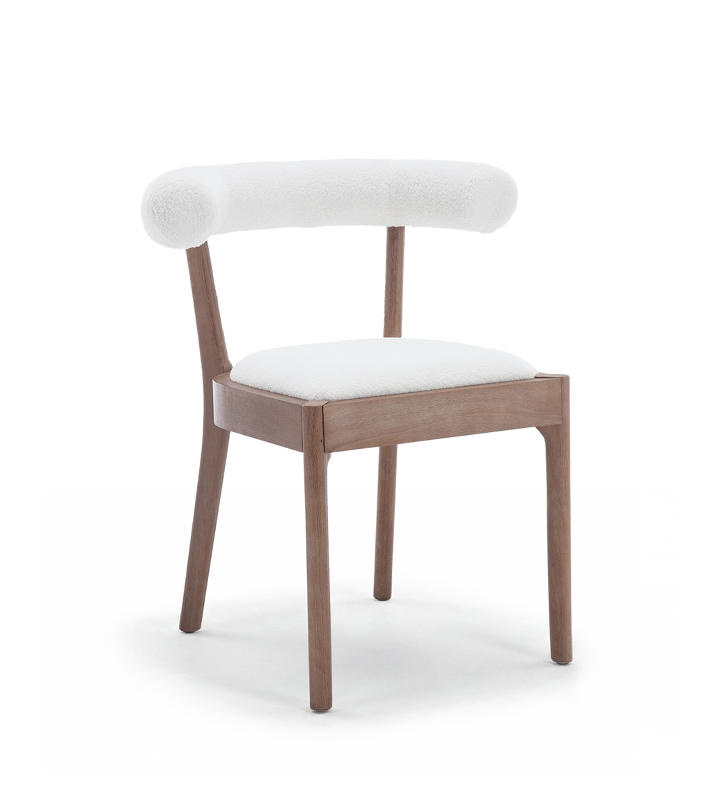 Taylor Modern Rustic Dining Chairs (Set of 2)