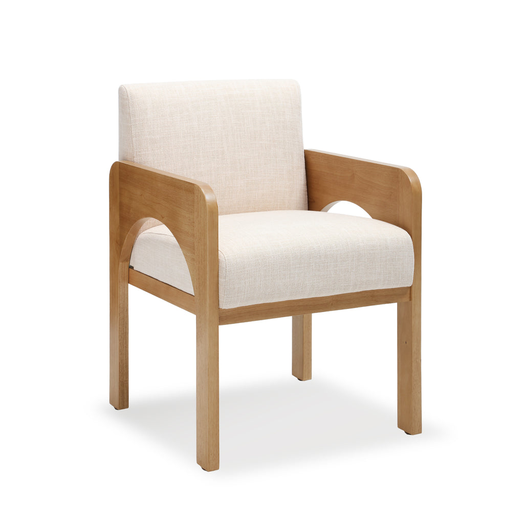 Hugo Modern Transitional Dining Chairs (Set of 2)